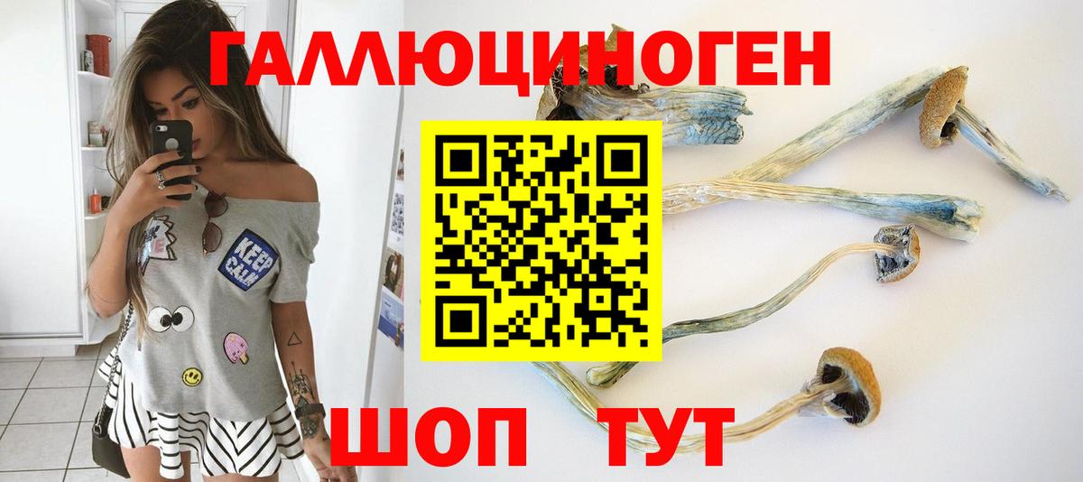 Псилоцибиновые грибы Psilocybe Щёкино