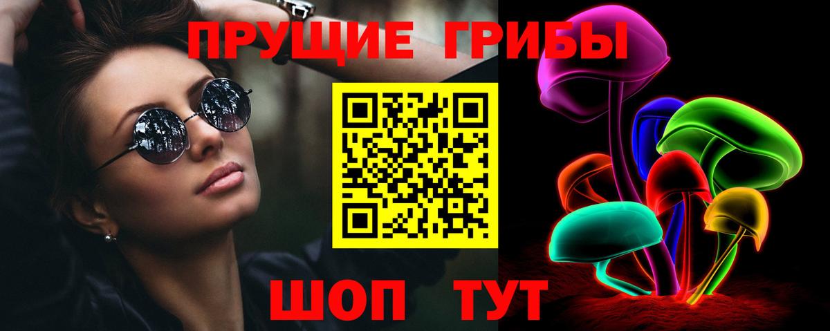 Галлюциногенные грибы MAGIC MUSHROOMS  Вход с VPN  Щёкино  Псилоцибиновые грибы Psilocybine cubensis 
